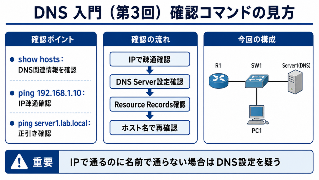 DNS確認コマンドの見方を整理した図。show hosts でDNS関連情報、ping 192.168.1.10 でIP疎通、ping server1.lab.local で正引き確認を行う流れと、DNS設定を疑う判断ポイントをまとめた図解